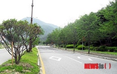 최우수 녹색도시 선정 문경시 가로수