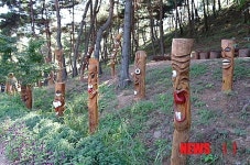 구미 산동참 생태숲 꽃무릇 단지 장관