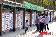 울진군, 10월4일 성류문화제 개막