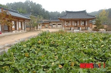 옥천 육영수 생가서 전통문화 체험 즐기세요