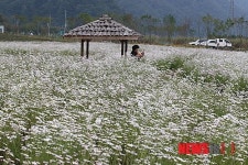 북한강변 가을 분위기 물씬
