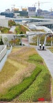 여유로운 하늘정원