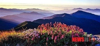 국립공원 사진공모전 우수상, 천상의 화원