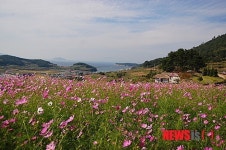 슬로시티 청산도로 떠나는 가을 감성여행