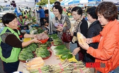 롯데마트, 농민돕기 직거래 장터 첫 운영