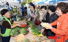 롯데마트, 대덕테크노밸리점 직거래 장터