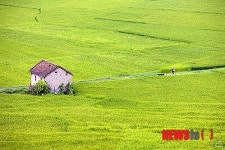 남인근 심상풍경(心像風景) 展