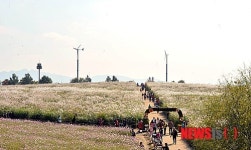 억새천국 하늘공원