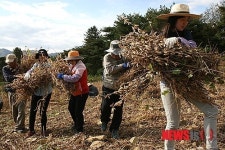 바쁜 일손 도우니 기쁨 두배