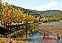 만추