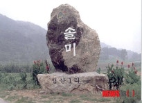 원주시 솔미마을 시골재래장터 연다