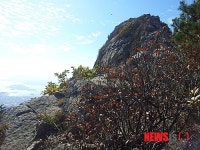 아름다운 자태를 뽐내는 와룡산 새섬바위