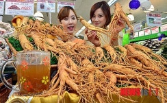 6년근 햇 인삼 저렴하게 구입하세요