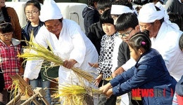 전통 농사법 체험