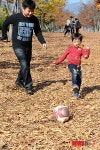 천연 낙엽 축구장