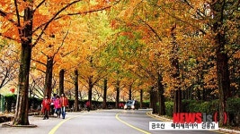 구미 단풍이 좋은 낙엽 밟는 거리 6곳 지정