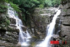 동해시 무릉계곡 상가 간판 점등식