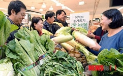 산지 직송된 농산물 구경하세요
