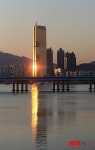 햇빛에 반짝이는 한화63시티
