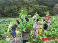 어찌 이렇게 좋은 곳을 늦게 만났나…만우마을 인기