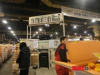 제주감귤 아직도 멀었다…비상품 유통 차단 시급