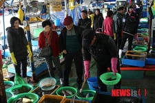 북적이는 주문진수산시장