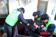강릉우편집중국 사랑의 연탄 배달