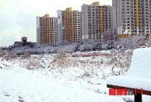 새하얀 눈으로 뒤덮힌 전주