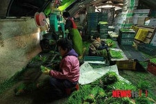 영덕군, 농한기 농가소득에 박차