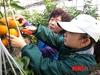 겨울여행 떠나자, 방방곡곡 음식체험 마을로
