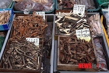 춘천 풍물시장-국산 약재나무