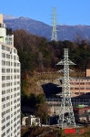 전자파 피해 광주 남구 진월동 송전탑 40년만에 철거