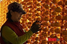 상주곶감 맛 보러 오세요