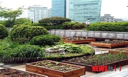 가든프로젝트, 산림형 사회적기업 인증 획득