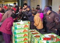 영동 임산장터 곶감 경매…장날 외지인 북적