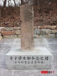 의성 단촌면 도금동 효자비, 20년만에 햇빛