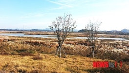대규모 체육시설  들어설 나주 영산강변 저류지