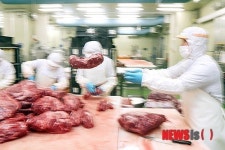 바쁘게 움직이는 한우 생산라인
