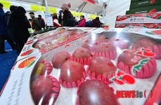 서울장터 빨간사과