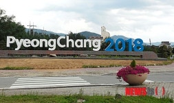 평창 대관령면, 불법광고물 대대적 정비