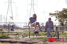 [초점]85세 신인여우와 헤밍웨이 증손녀, 영화 외적으로도 주목…‘스타렛’