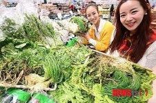 입맛 살리는 봄나물을 20% 저렴하게~