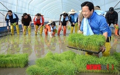 임금님표 이천호법쌀 전국 첫 모내기