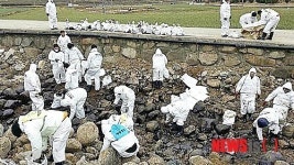 경남농협 임직원, 남해에서 기름유출 방제작업 동참