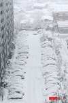 강릉 모레까지 雪雪