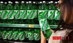 가격 오르는 칠성사이다