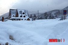 30년만에 내린 진부령 폭설