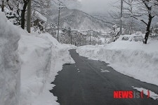 흰눈에 둘러싸인 진부령로