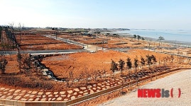 함평 주포지구 한옥전원마을