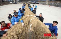 청도 도주줄다리기 준비 한창